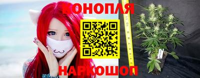 дмт Краснознаменск