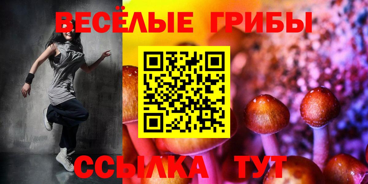 Галлюциногенные грибы MAGIC MUSHROOMS Зима